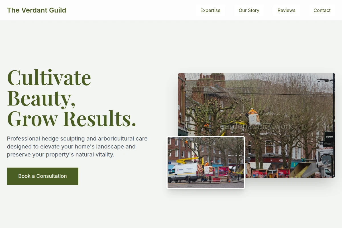 Hedge Arborist