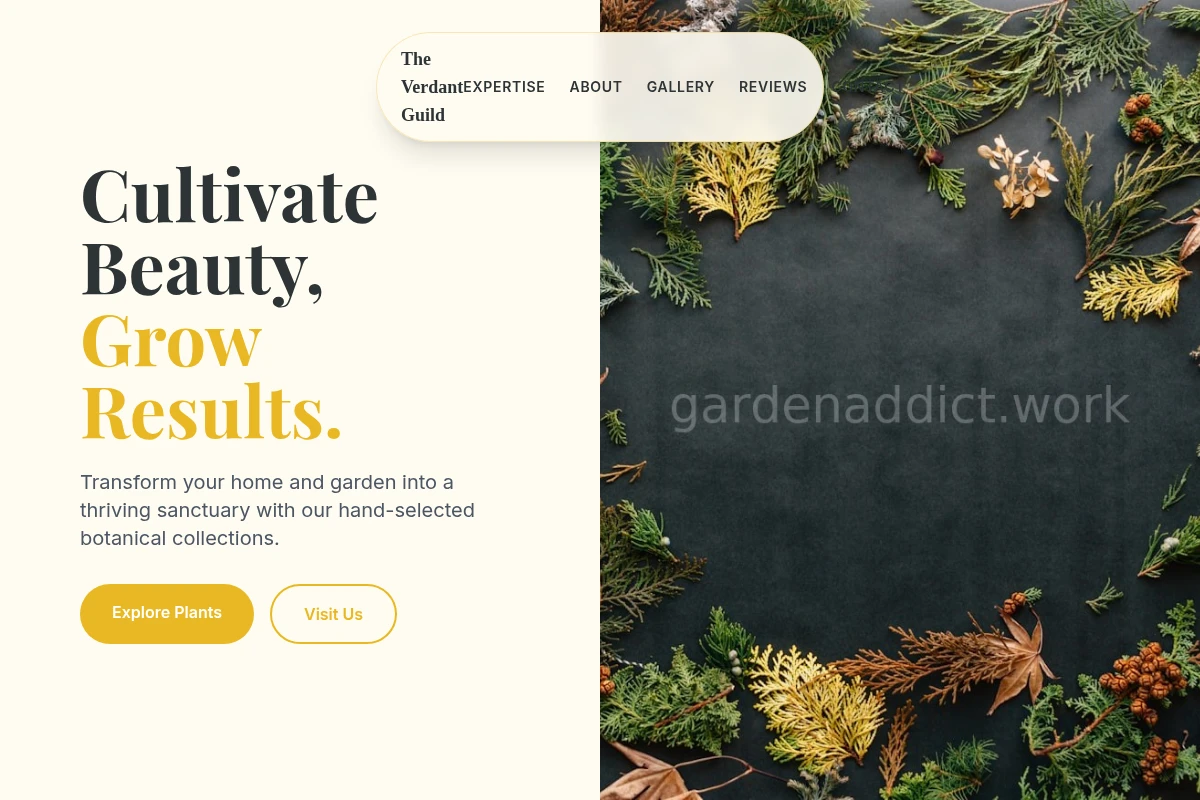 Dandelion Plant Nursery