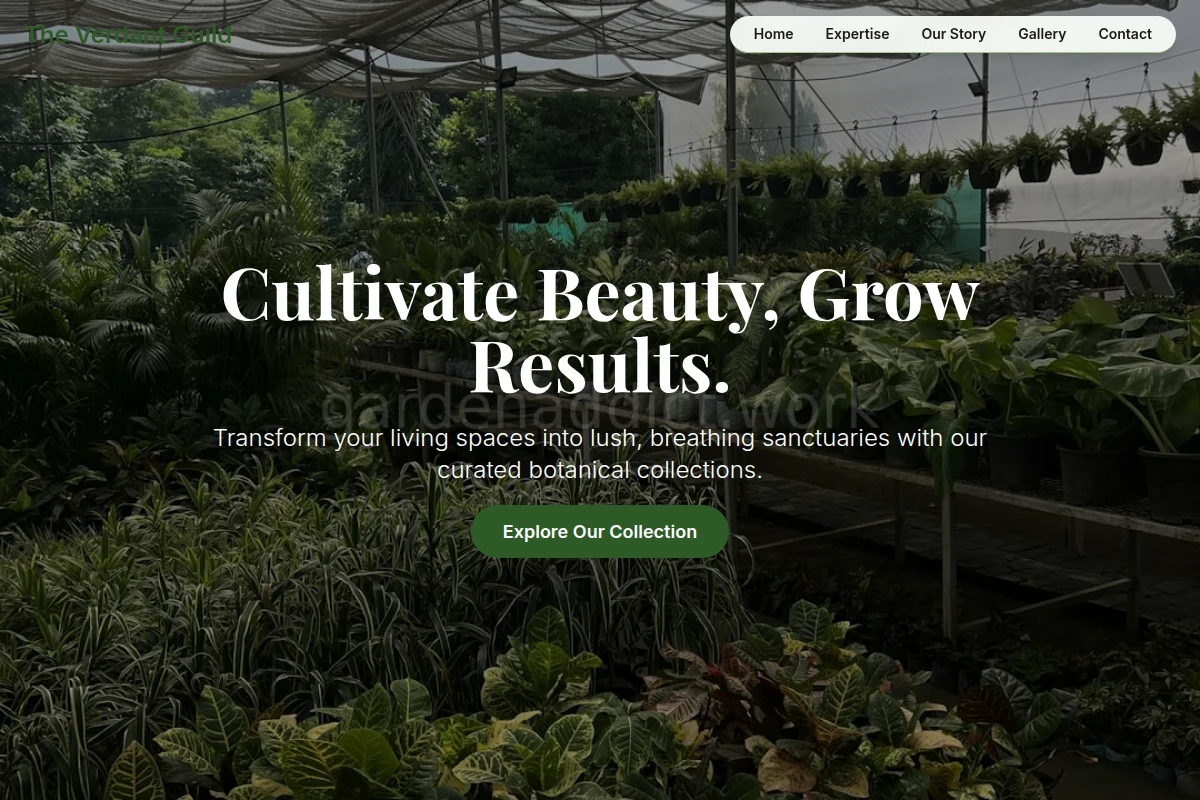 Dandelion Plant Nursery