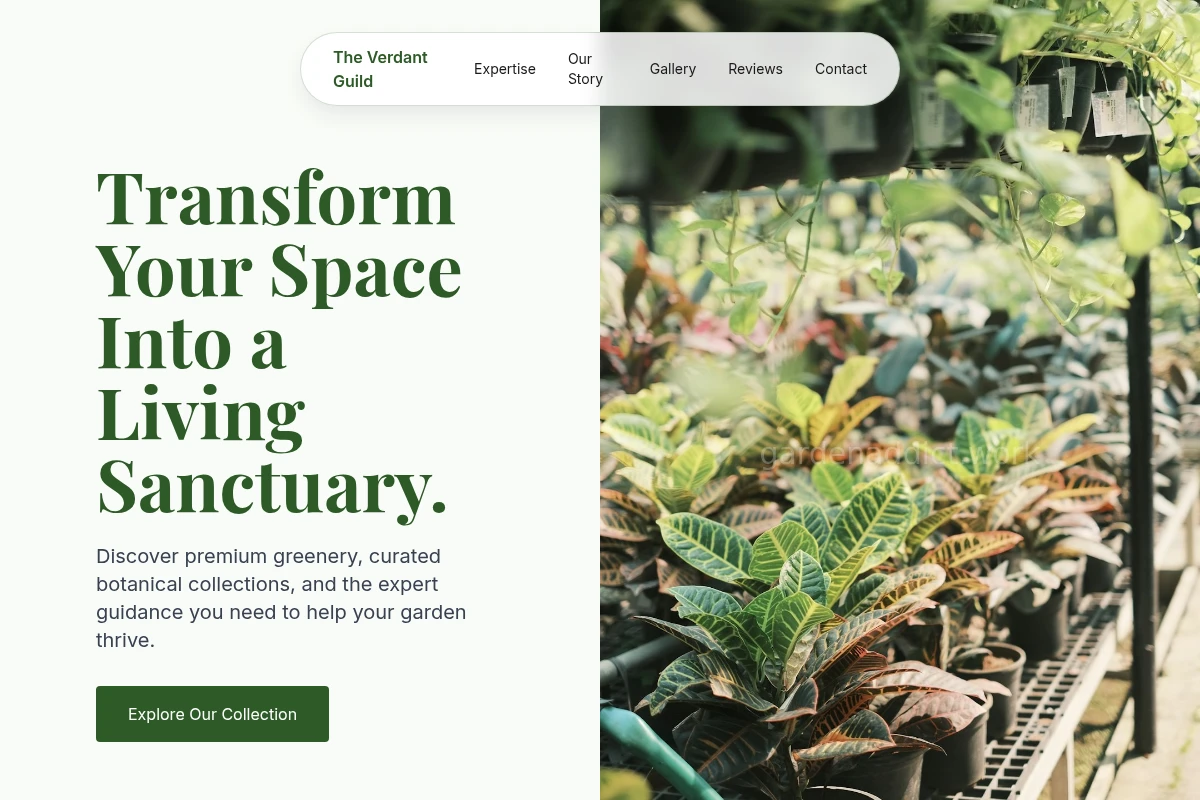 Root Plant Nursery