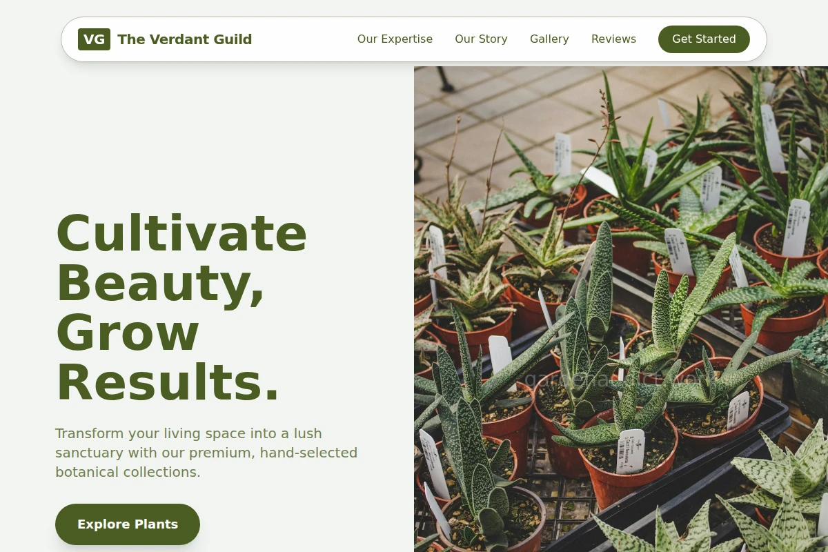 Arbor Plant Nursery
