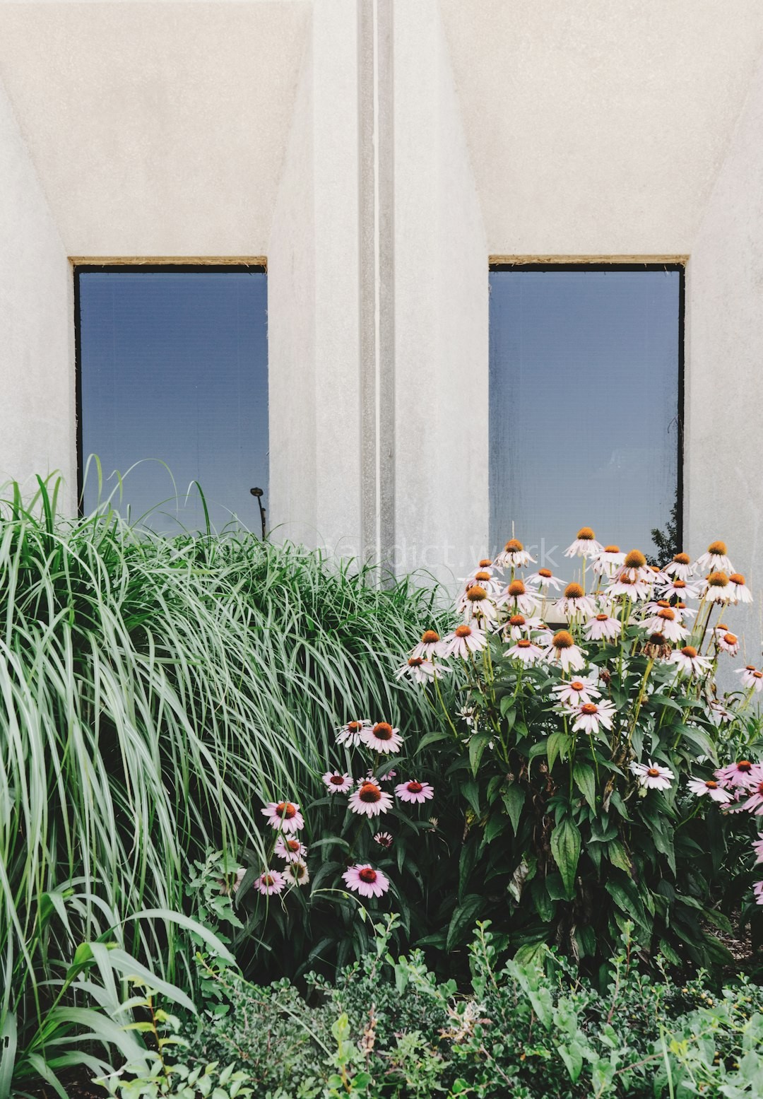 Landscape Design