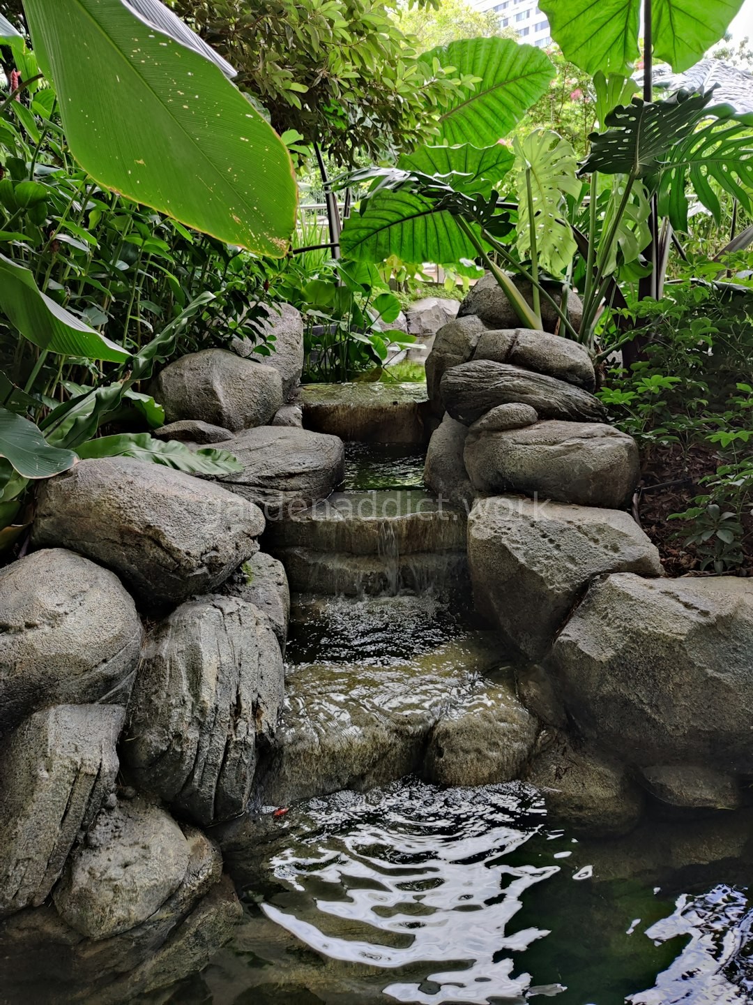 Garden Reel 1