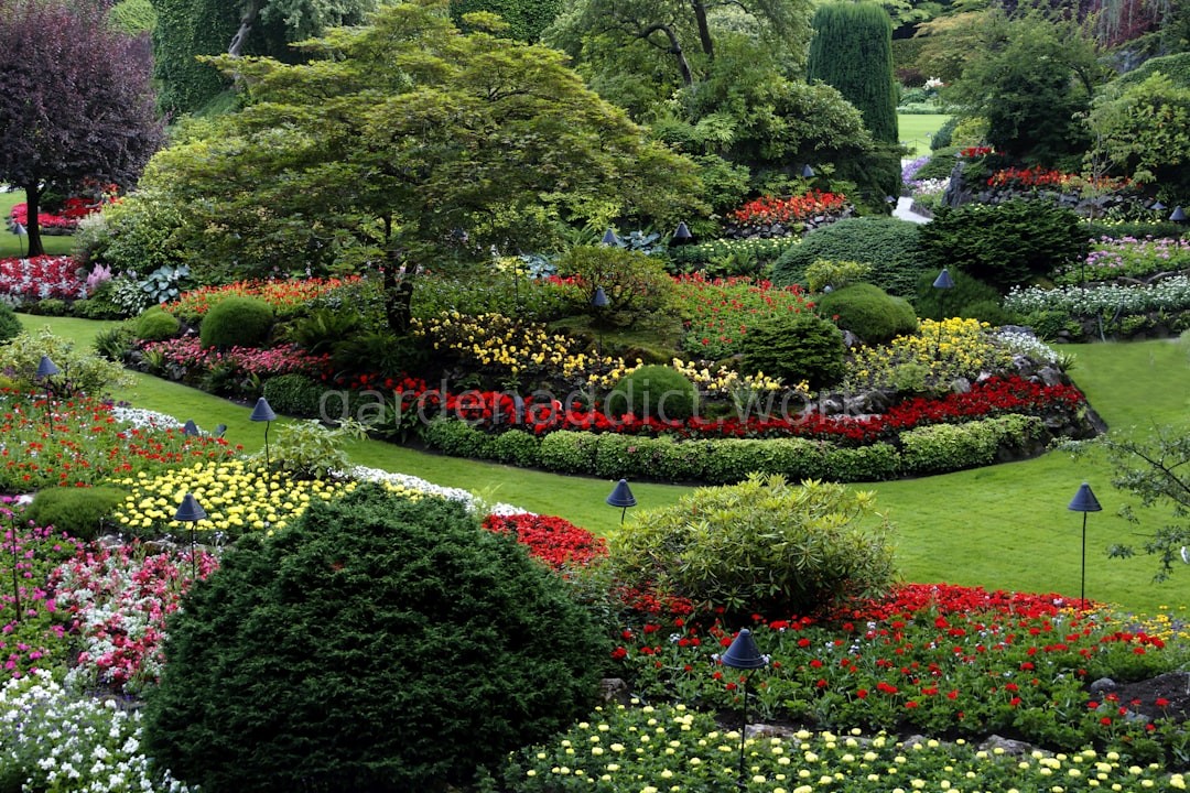 Garden Reel 3
