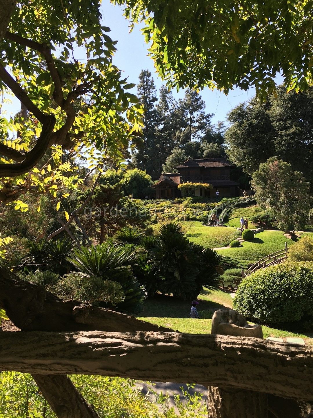 Beautiful Garden