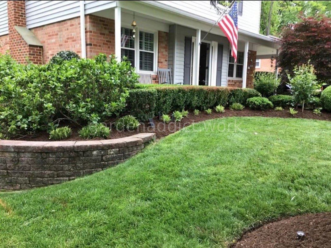 Lawn Care