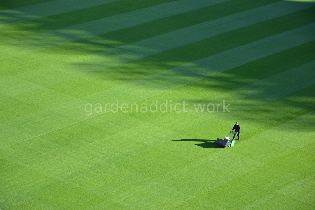Lawn Mowing