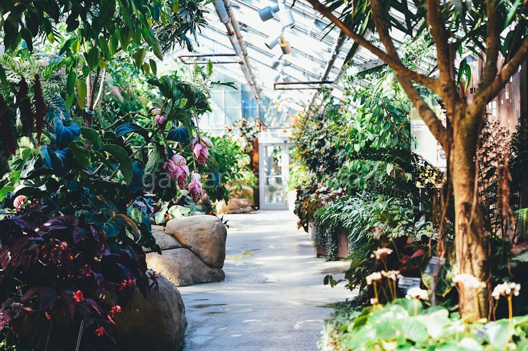 Outdoor Garden