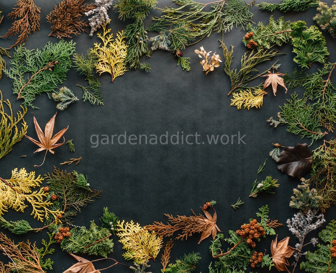 Soil Care